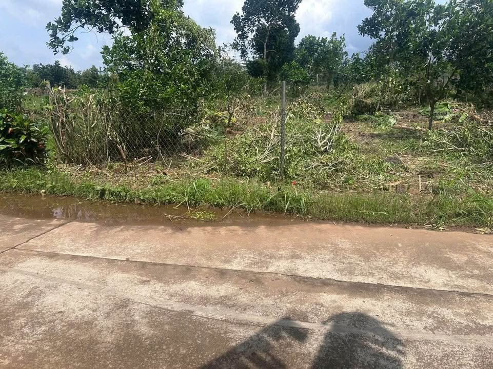 Đất nền mặt tiền xã Phú Lộc, 200m² giá 450 triệu - Sổ hồng riêng công chứng ngay!