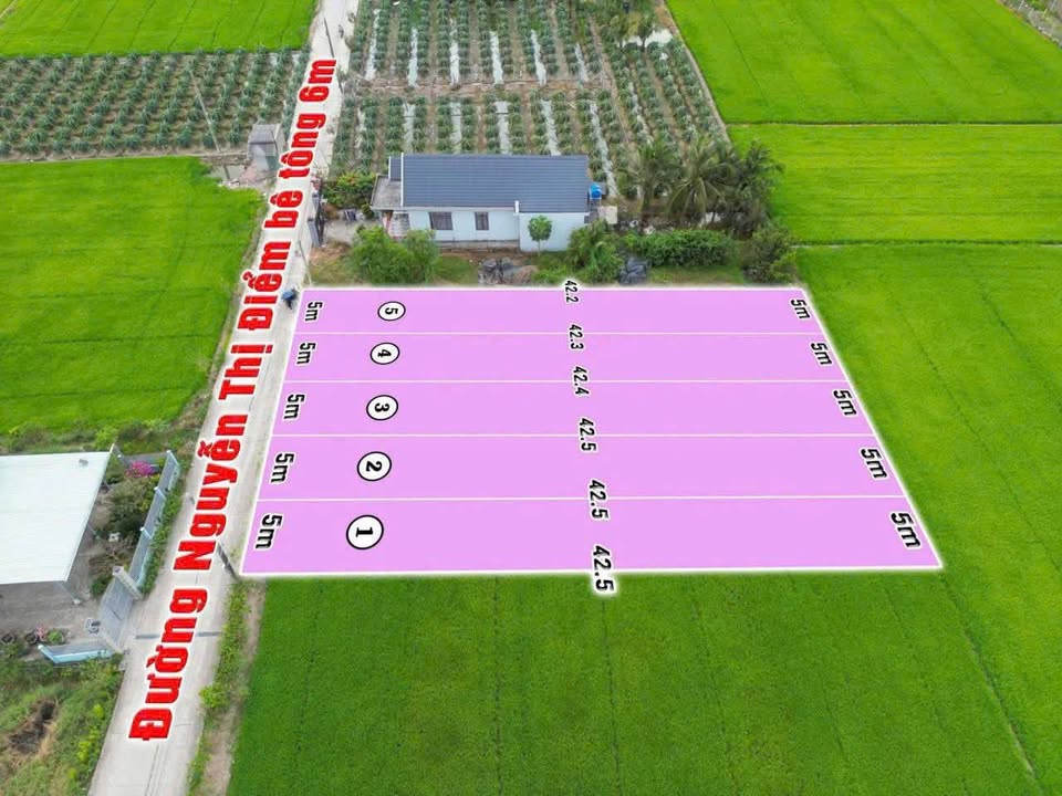 Đất thổ cư mặt tiền Đường Nguyễn Thị Điểm 210m² giá 1 tỷ - Cơ hội đầu tư hấp dẫn!