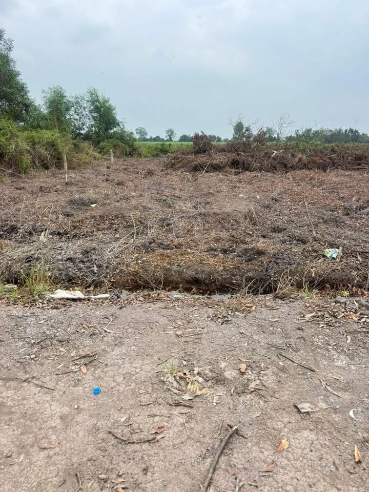 Đất vườn 500m² tại Tân Thành, Thủ Thừa giá 220 triệu - Cơ hội đầu tư tuyệt vời!