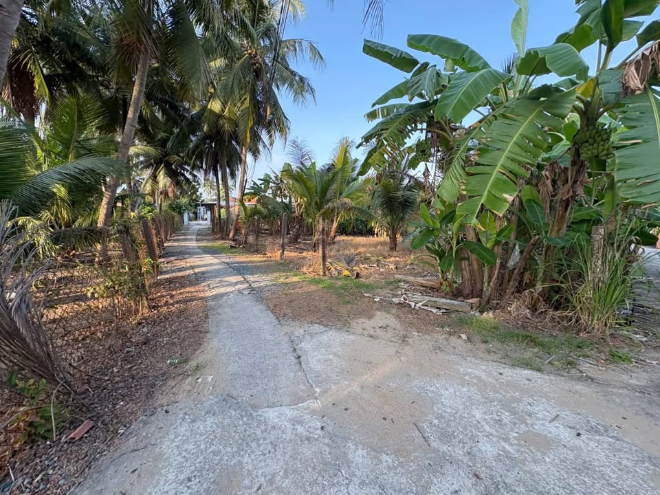 Đất vườn 2 mặt tiền Vĩnh Công, Châu Thành, Long An 977m² giá 900 triệu - Cơ hội đầu tư tuyệt vời!