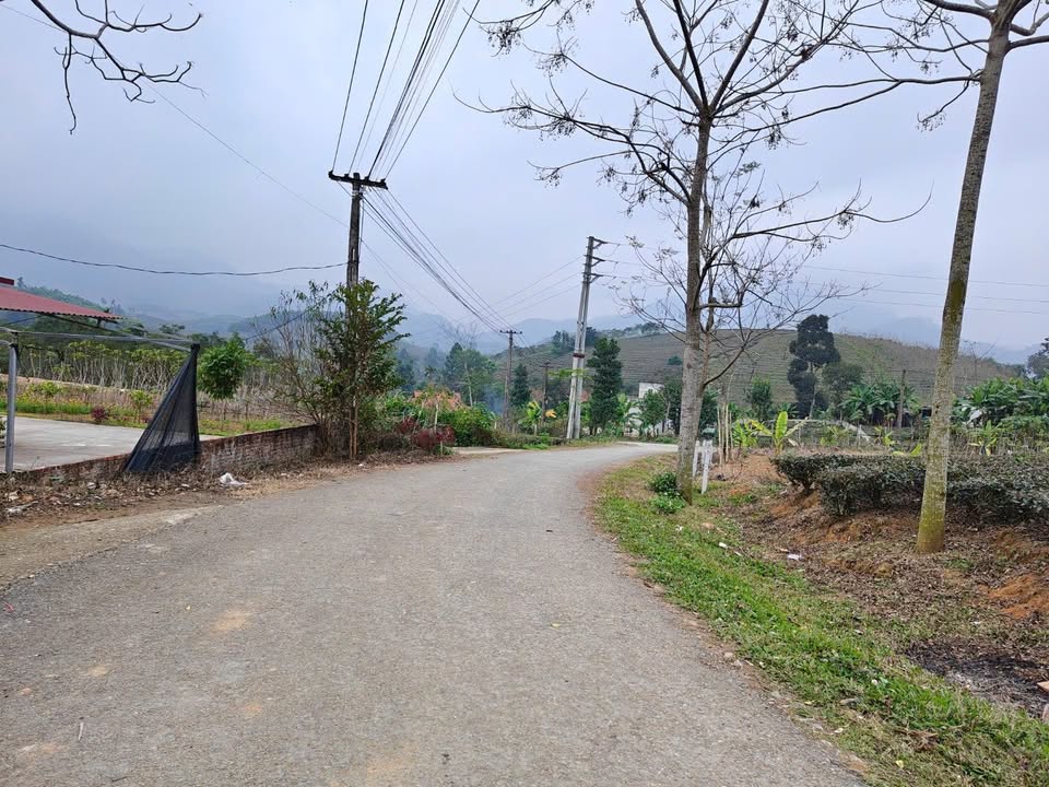 Đất nền Thị Xã Phú Thọ 4000m² giá chỉ vài trăm triệu - Đầu tư sinh lời ngay!