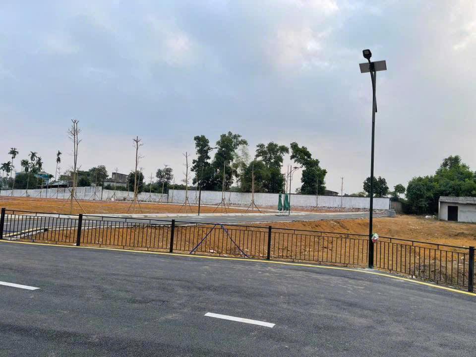 Đất nền 100m² Sổ Hồng Sẵn - Phường Quang Trung, Hà Đông - Cơ hội đầu tư