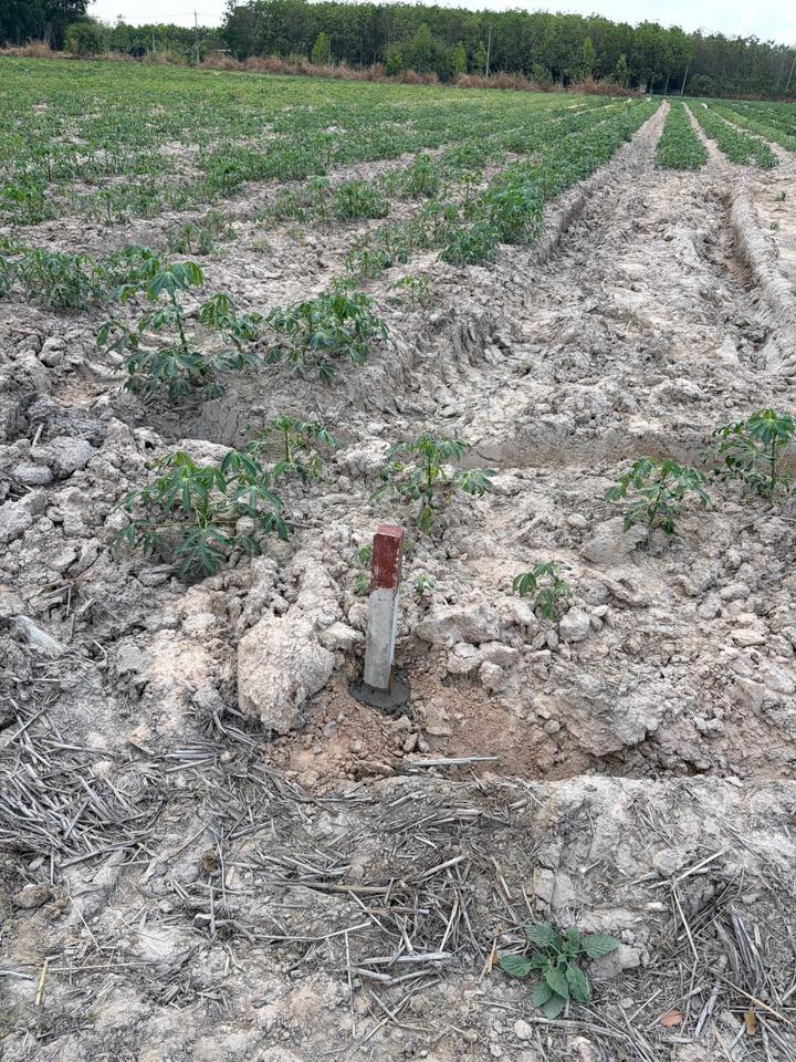 Đất nền Minh Thạnh, Dầu Tiếng, Bình Dương - 1000m² giá chỉ 300 triệu - Cơ hội đầu tư tuyệt vời!