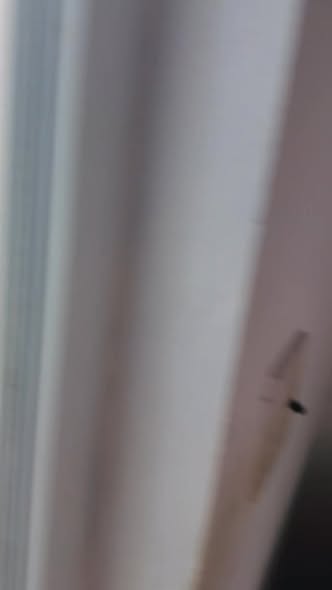 Nhà cấp 4 cho thuê tại đường Nguyễn Bỉnh Khiêm, Uông Bí - Chỉ việc vào ở!