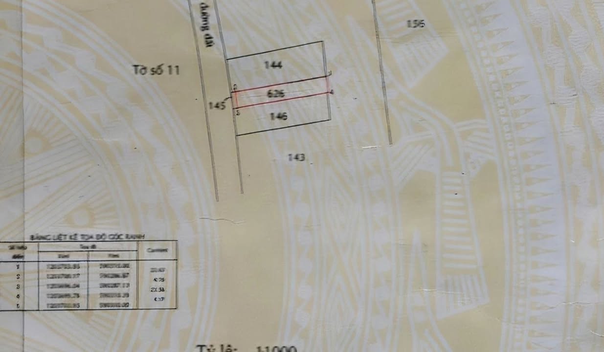 Nhà mặt tiền Xuân Thới Sơn 92m² giá 2.3 tỷ - Kinh doanh sầm uất!