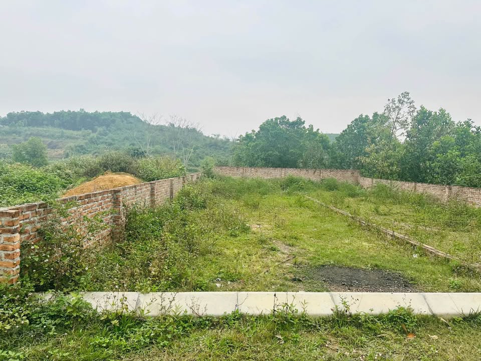 Đất thổ cư Thị trấn Ba Đồi - 137m² chỉ 600 triệu - Sổ đỏ chính chủ sẵn sàng công chứng!