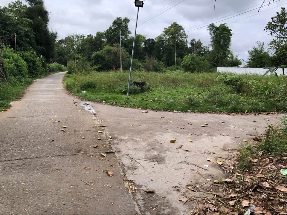 Đất thổ cư mặt tiền đường Nguyễn Thiện Thành, 125m² giá 299 triệu - Đầu tư sinh lời ngay!