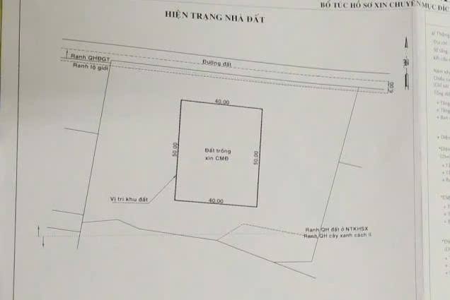 Đất nền 1 hécta Xã Nhuận Đức, Củ Chi giá 27 tỷ - Cơ hội đầu tư hấp dẫn!