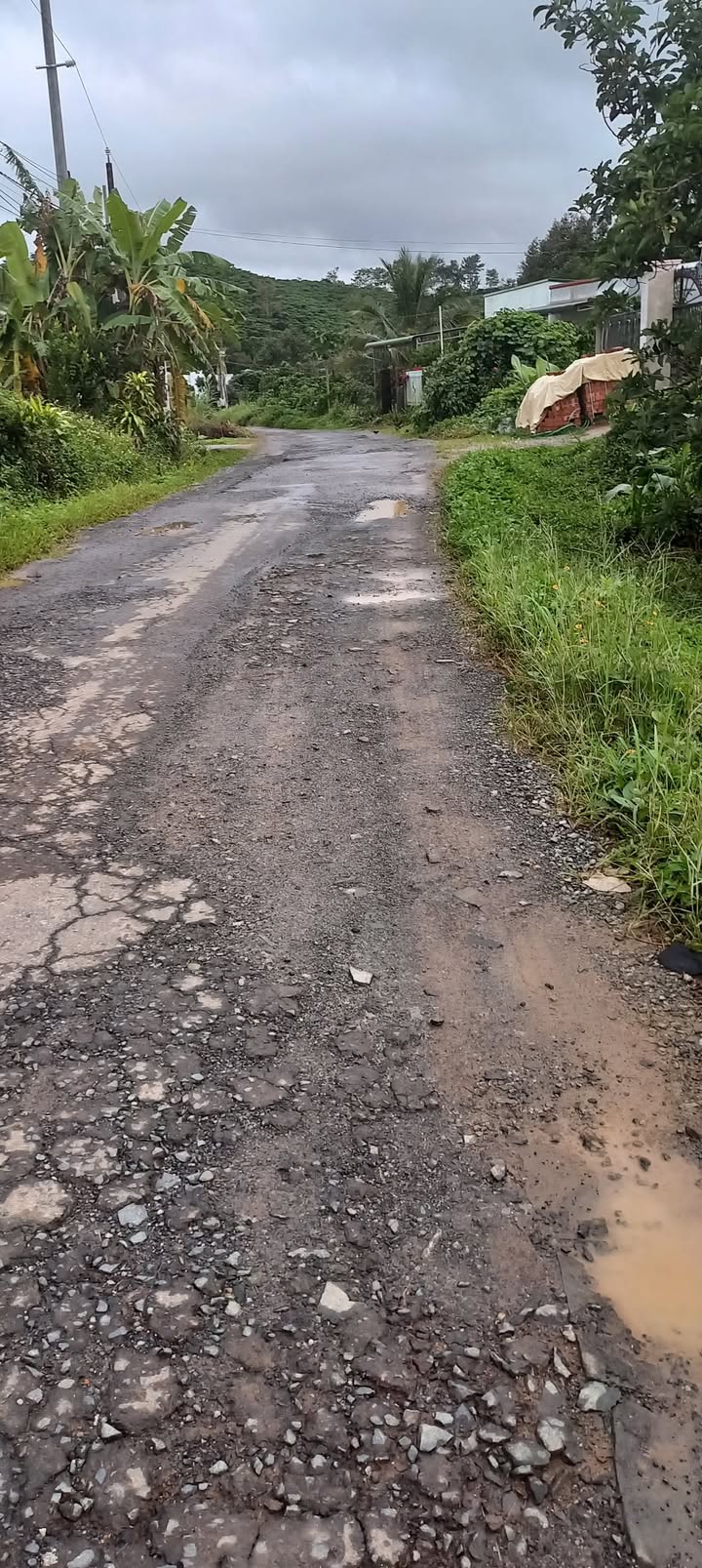 Đất nền Bảo Lộc 513m² giá chỉ 1 tỷ - Mặt tiền đường chính