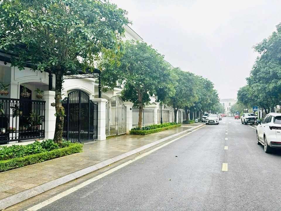 Townhouse Phong Lan 3, Phường Đông Vệ, 180m² giá 14 tỷ - Cơ hội đầu tư tuyệt vời!