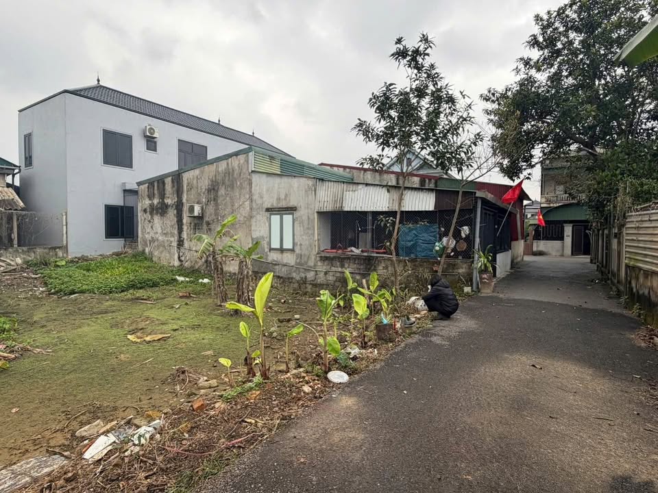 Bán đất 86m² Phường Thạch Linh, Hà Tĩnh - Gần Vinhome, Giá 1.5 Tỷ