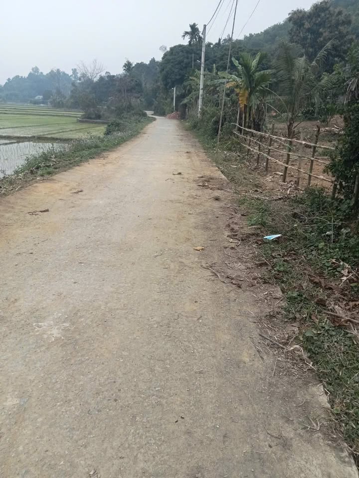 Đất nền Kim Bôi 525m² giá chỉ 1 tỷ - View cánh đồng tuyệt đẹp!