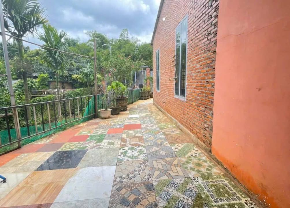 Nhà vườn cho thuê Phường Ea Tam 3,5 triệu - Đường ô tô vào tận nơi!