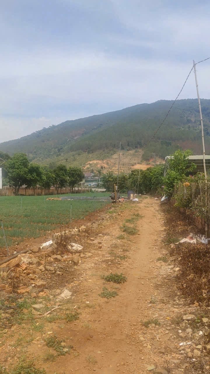 Đất nền Hiệp An Đức Trọng 4200m² - Tiềm năng tăng giá vượt trội!