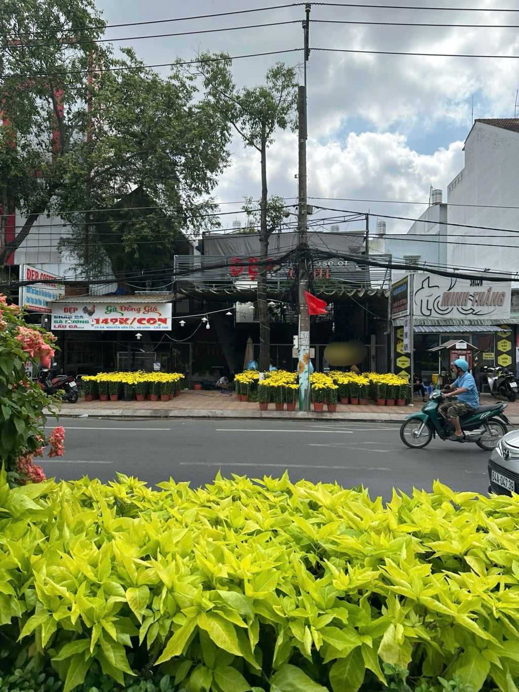 Cho thuê mặt bằng Nguyễn Văn Cừ Cần Thơ 297m² - Mặt tiền kinh doanh