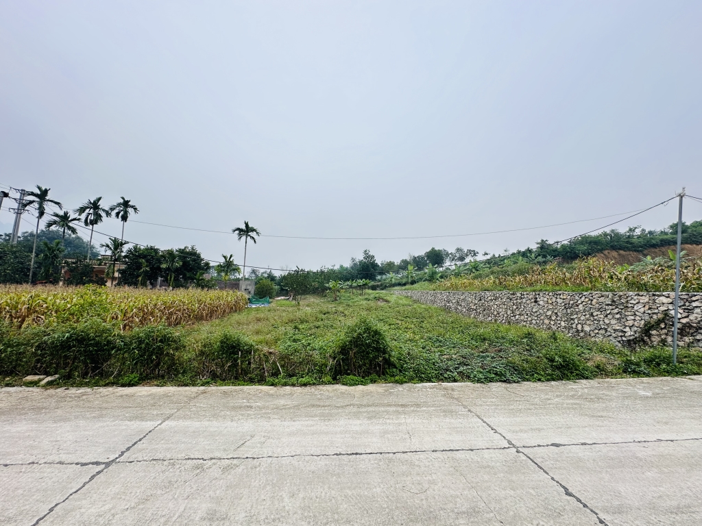 Đất nghỉ dưỡng Lương Sơn 885m² giá 3.1 tỷ - View thiên nhiên xanh mát