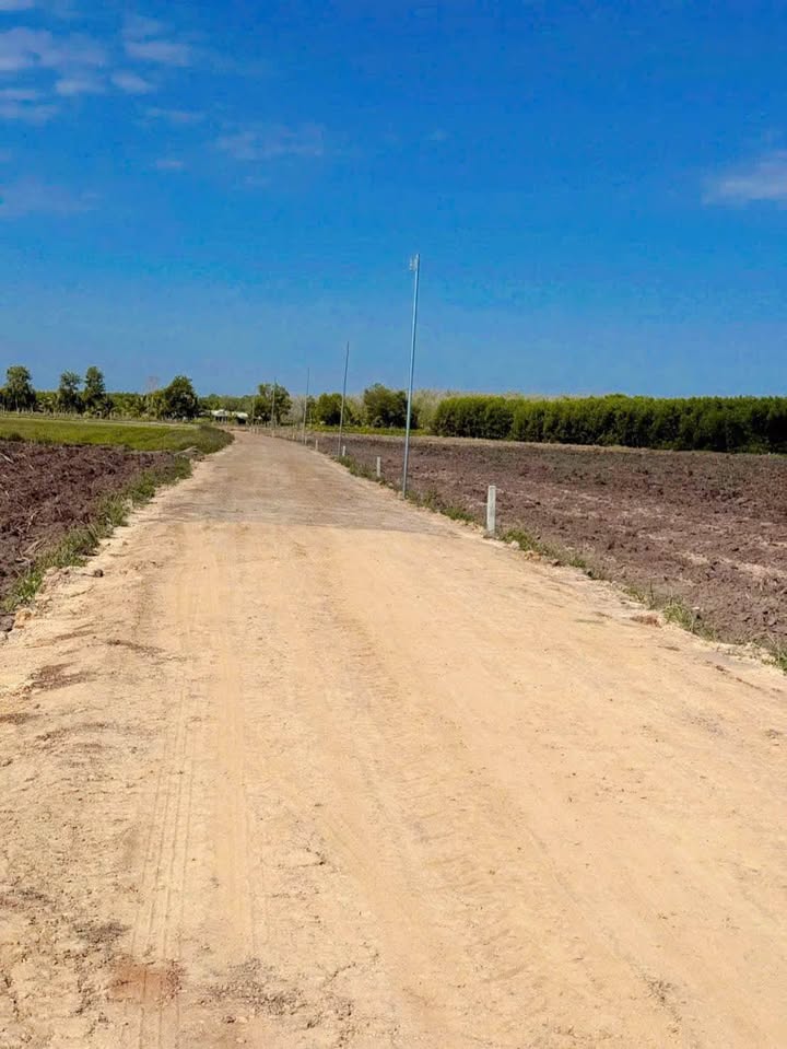 Đất nền 1000m² tại xã Tân Lập, huyện Tân Biên - Mặt tiền đường đỏ, giá chỉ 140 triệu!