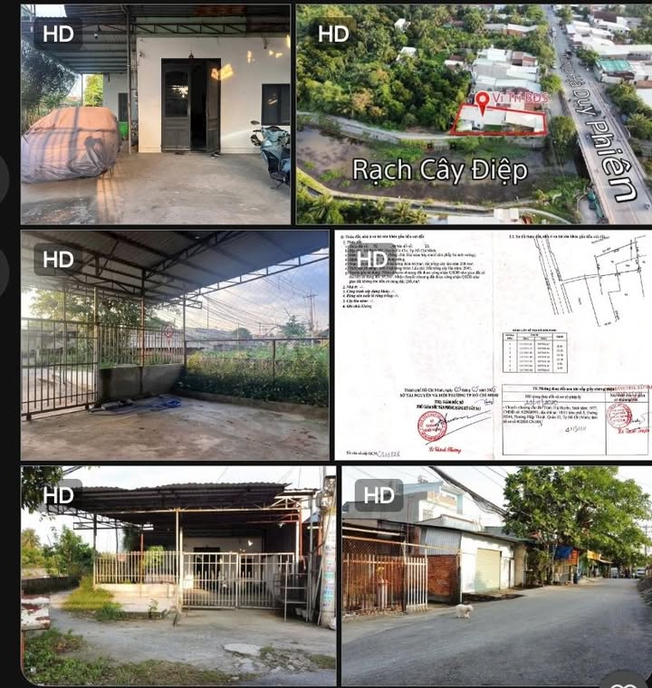 Nhà mặt tiền Tỉnh Lộ 9 Củ Chi 280m² giá 4.5 tỷ - Vị trí kinh doanh đỉnh!