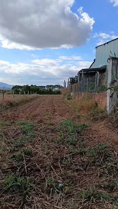 Đất thổ cư tại Thôn Tân Lập A, Xã Đắk Ring, 281m² - Giá tốt đầu tư!