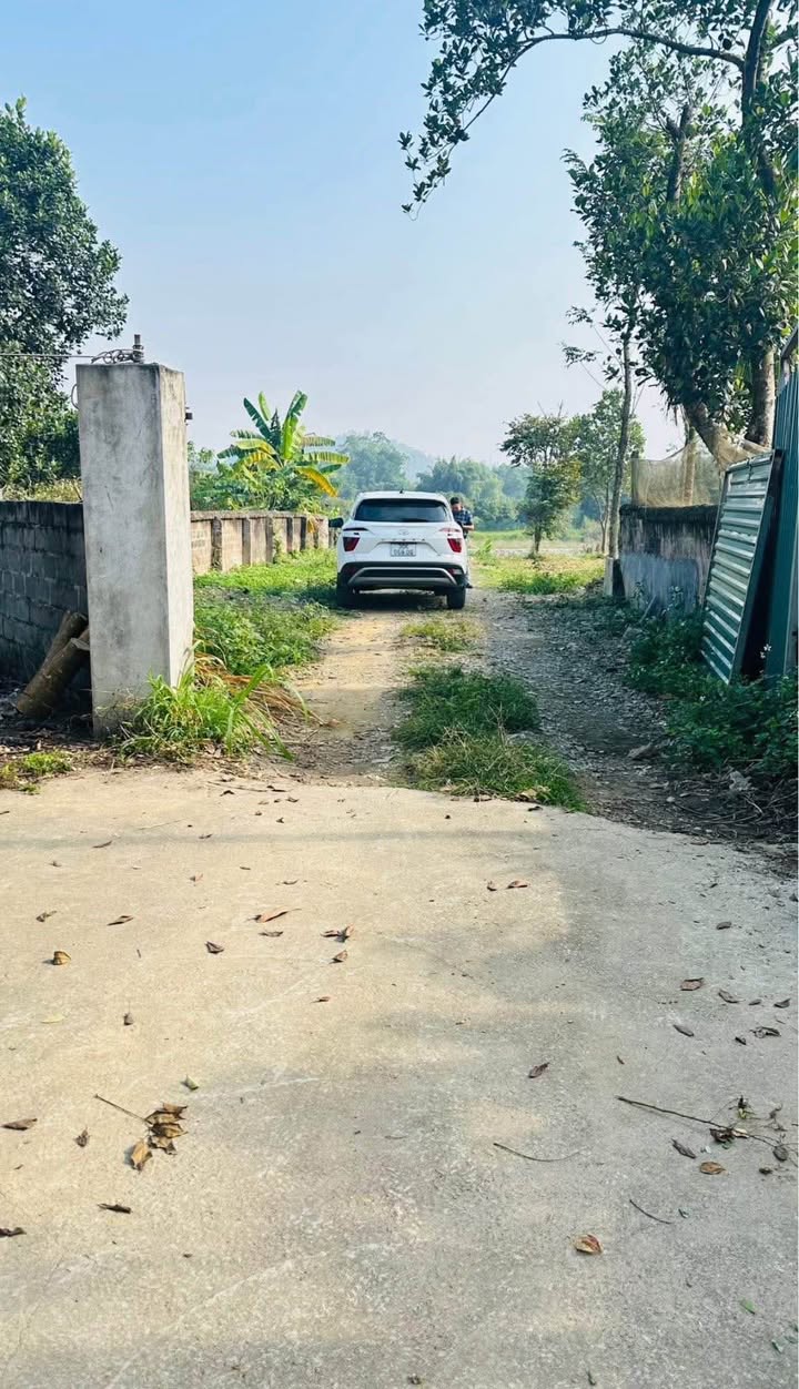 Đất thổ cư 1300m² tại Xuân Linh, Chương Mỹ - Sổ đỏ chính chủ, đầu tư sinh lời!