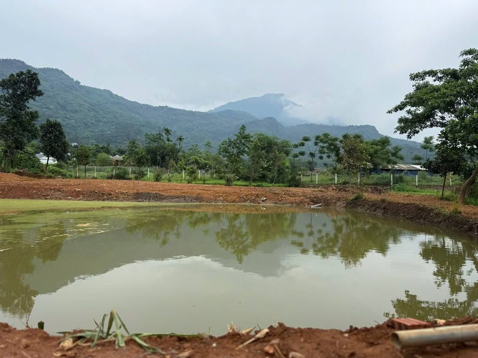 Đất vườn Minh Quang Ba Vì 2.697m² - Nghỉ dưỡng lý tưởng!