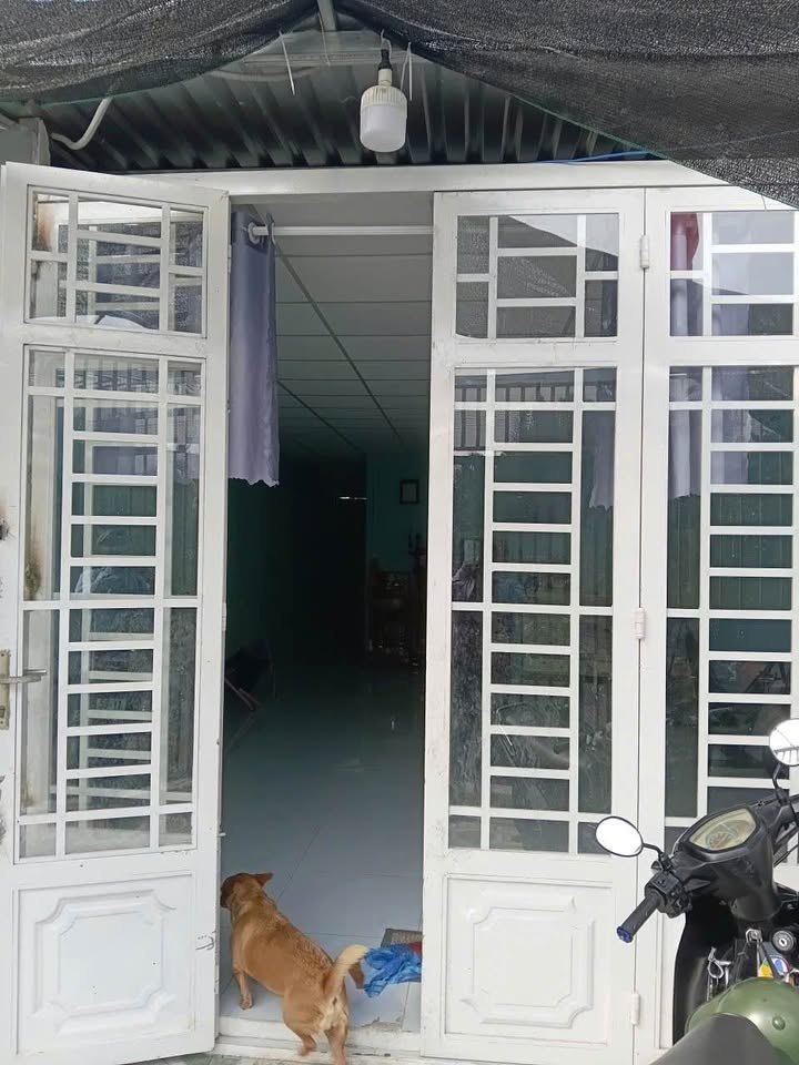 Nhà Mặt Tiền Đào Trí Q7 90m² - Mặt Tiền Kinh Doanh