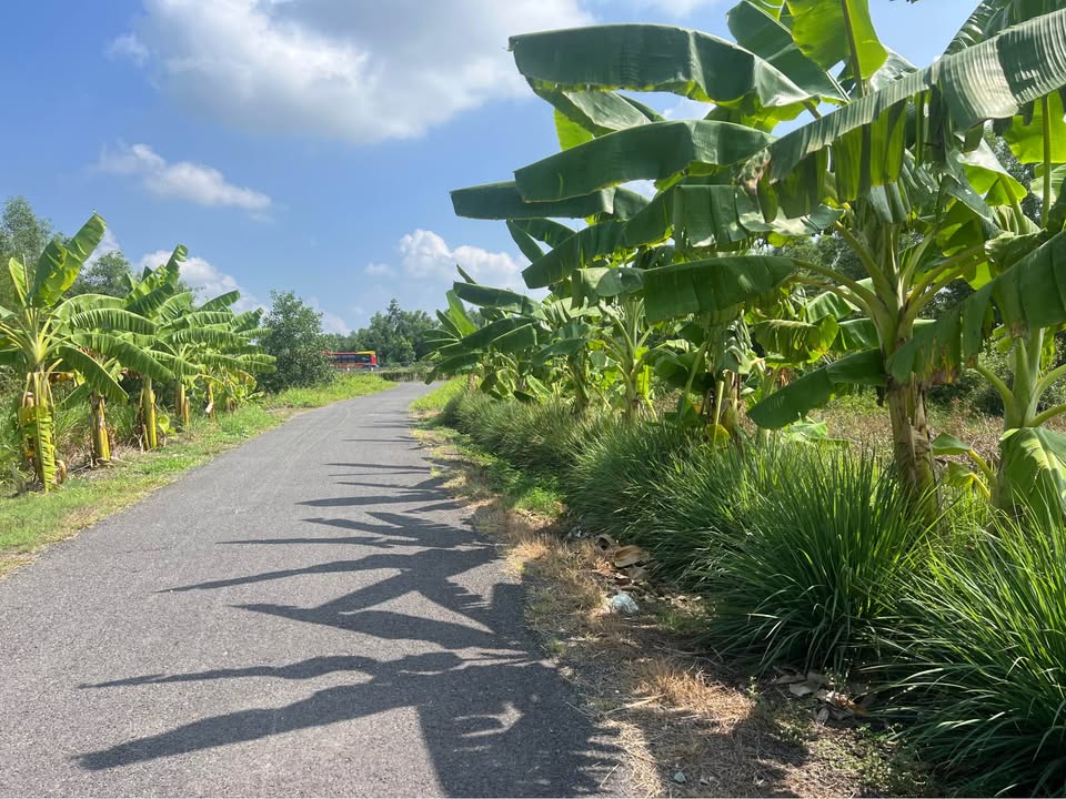 Đất nền Châu Thành Tiền Giang 624m² giá 1.2 tỷ - Sổ đỏ chính chủ