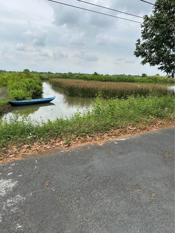 Bán Đất Nuôi Tôm Định Bình Cà Mau 1600m² - Tiềm Năng Tăng Giá Cao