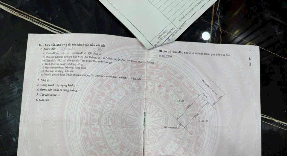 Đất nền Khu tái định cư Tân Viên 85m² - Tiềm năng tăng giá vượt trội!