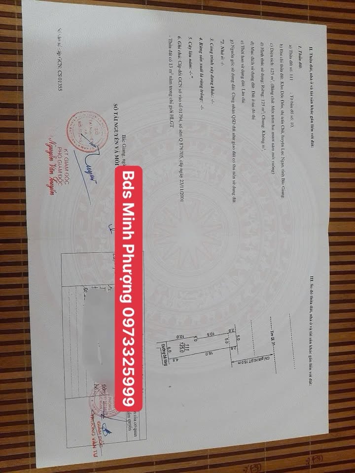 Nhà Phố Quốc lộ 31 Chũ 125m² - Mặt tiền kinh doanh đắc địa!