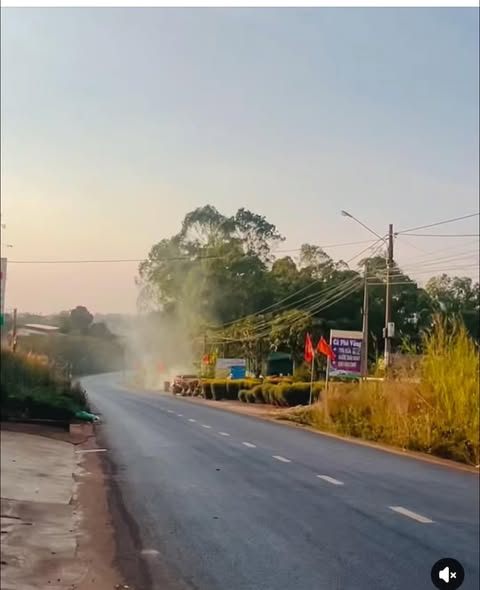 Đất thổ cư 3900m² mặt tiền QL29, Krông Búk - Giá đầu tư 221 triệu