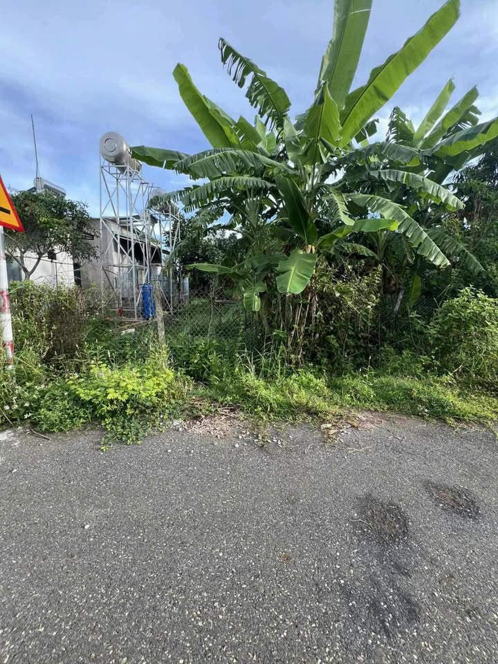 Đất nền Đá Bạc Châu Đức 176m² giá 580 triệu - Sổ đỏ chính chủ