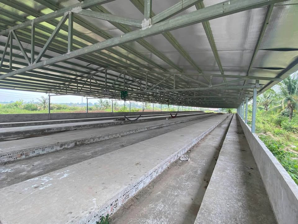 Đất trang trại Mỹ Xuyên 20.000m² - 10 tỷ - Nghỉ dưỡng lý tưởng!