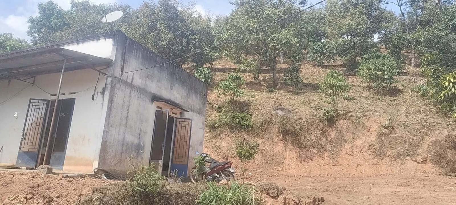 Đất Vườn Tân Lâm Di Linh 1.4ha Giá 3.5 Tỷ - Nghỉ Dưỡng Lý Tưởng