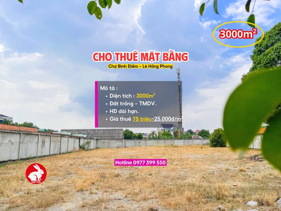 Mặt bằng Phú Hòa 3000m² 75 triệu/tháng - Diện tích lớn