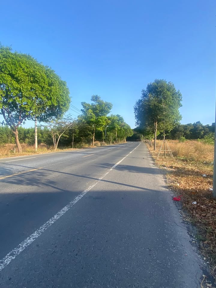 Đất nền mặt tiền Quốc Lộ 55, Bưng Riềng, 963m² giá chỉ 3 tỷ - Đầu tư sinh lời lý tưởng!