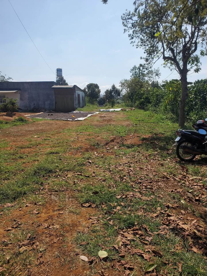 Đất thổ cư Bảo Lâm 180m² giá 720 triệu - Đầu tư tiềm năng!