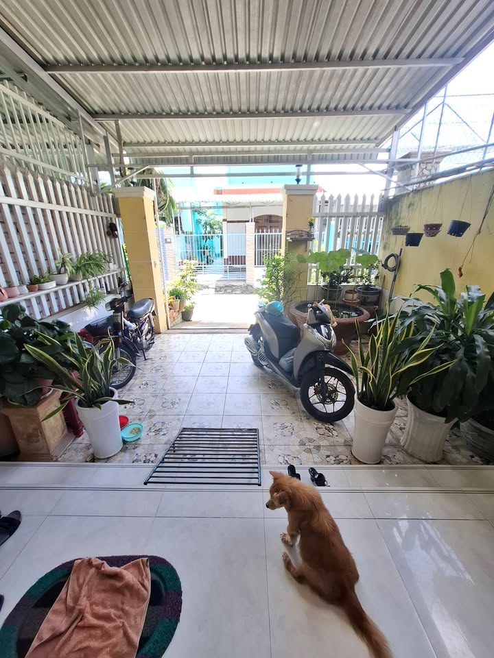 Bán nhà Phường 9 TP. Vĩnh Long 100m² - Ô tô vào tận nhà!