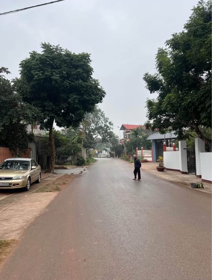 Đất nền Việt Lập, Tân Yên 200m² giá hơn 1 tỷ - Mặt tiền kinh doanh đắc địa!