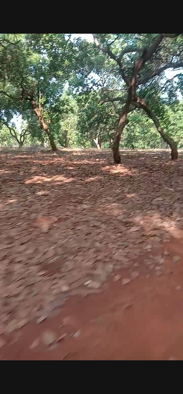 Đất Nền Tân Hưng, Đồng Phú 30.000m² – Tiềm Năng Tăng Giá Vượt Trội!