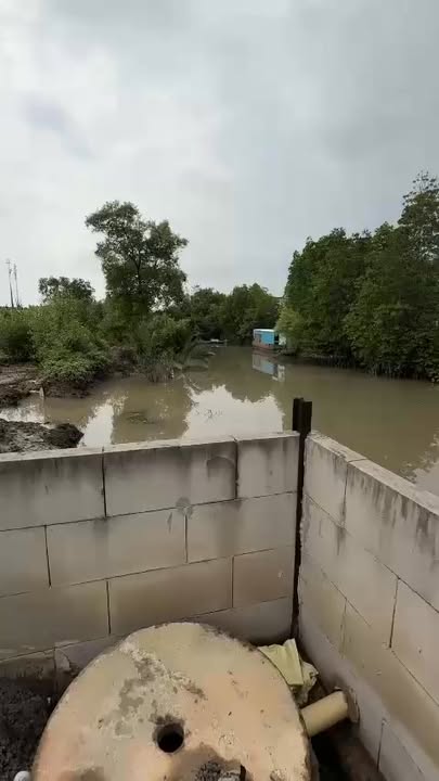 Đất nền Nhơn Trạch 100m² chỉ hơn 300 triệu - Tiềm năng tăng giá!