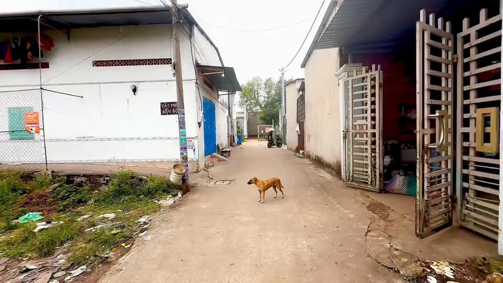 Đất nền Phước Thiền Nhơn Trạch 592m² - Sổ đỏ chính chủ, giá tốt!