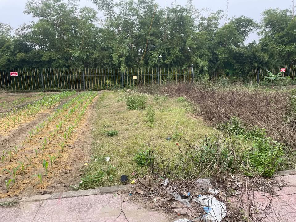 Đất nền Đông Xuân Đông Hưng 80m² giá 2 tỷ - Vị trí đắc địa kinh doanh ngay!