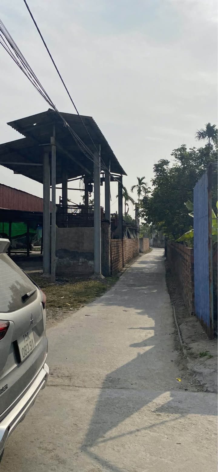 Đất nền Cao Minh Vĩnh Bảo 70m² giá 500 triệu - Sổ đỏ chính chủ!