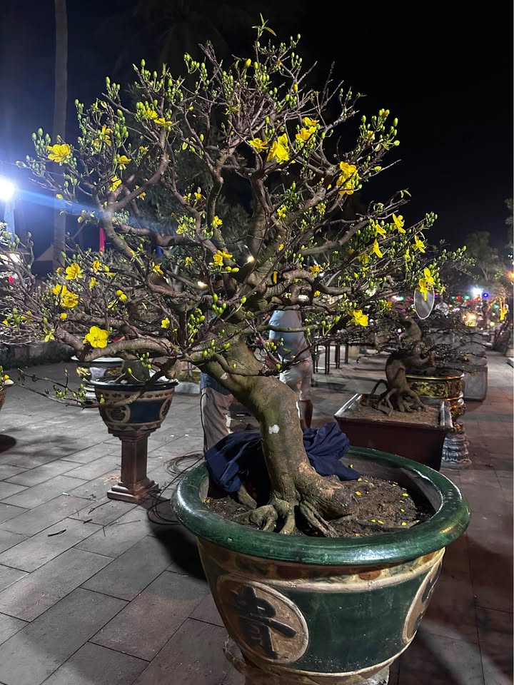 Đất nền đô thị Điện Tiến 157m² giá 2.99 tỷ - Tiềm năng phát triển mạnh!