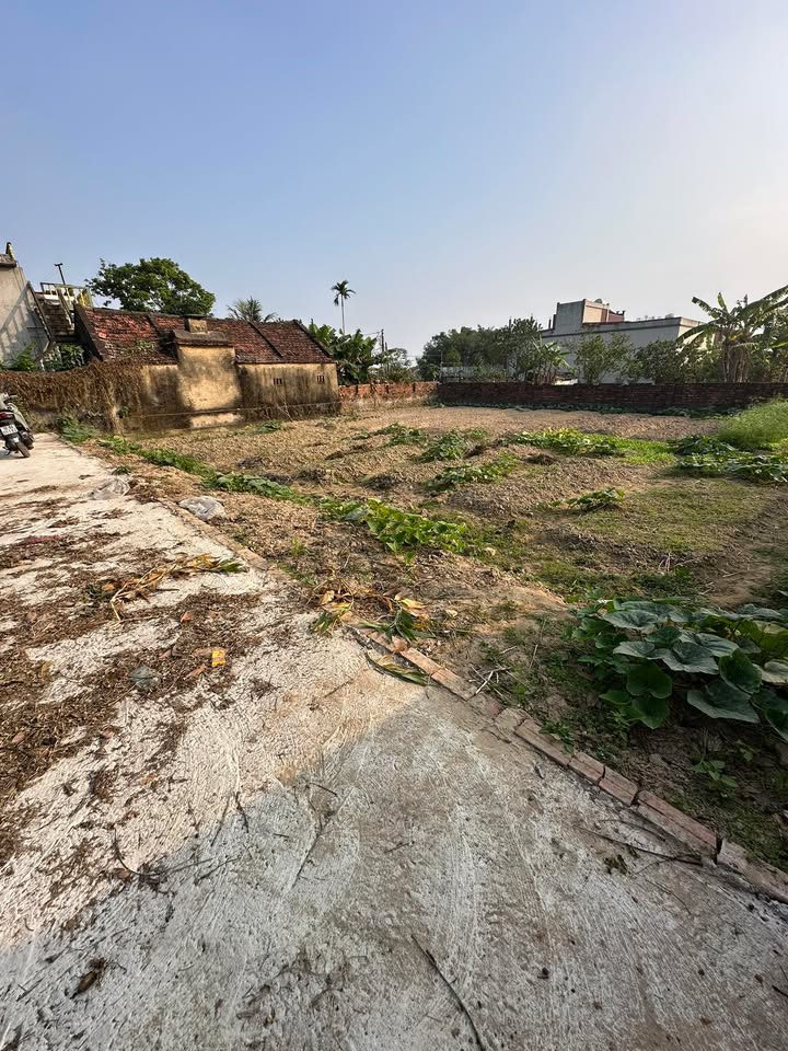 Đất nền xã Yên Lương, huyện Ý Yên, 317m² giá 1.3 tỷ - Đầu tư sinh lời ngay!