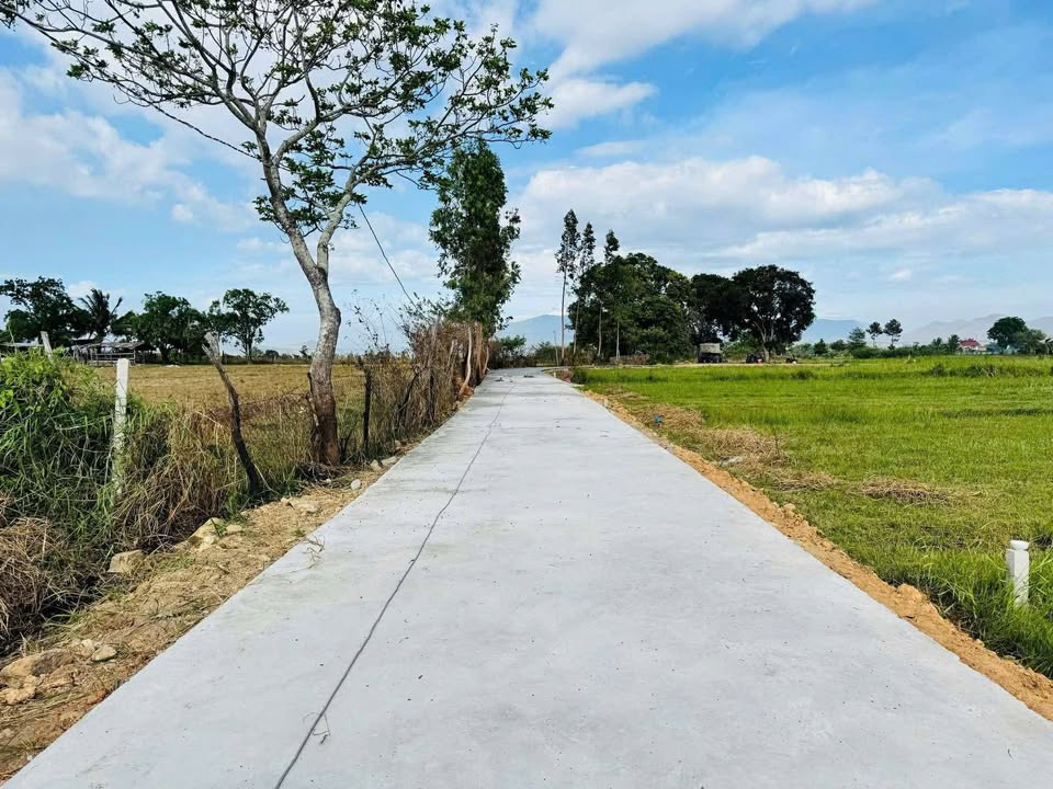 Đất nền 300m² Phường Văn Hải, PR-TC 350 triệu - Sổ đỏ chính chủ!