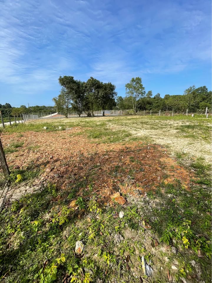 Đất Nền Phùng Quán, Huế 1400m² - Sổ Thổ Cư, View Hồ, Tiềm Năng Đầu Tư Vượt Trội