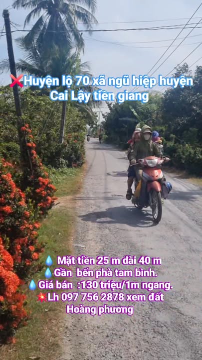 Đất nền Huyện lộ 70 Cai Lậy 1000m² - Sổ đỏ chính chủ