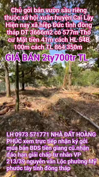 Đất Vườn Cai Lậy 3.666m² Giá 2,7 Tỷ - Nghỉ Dưỡng Lý Tưởng